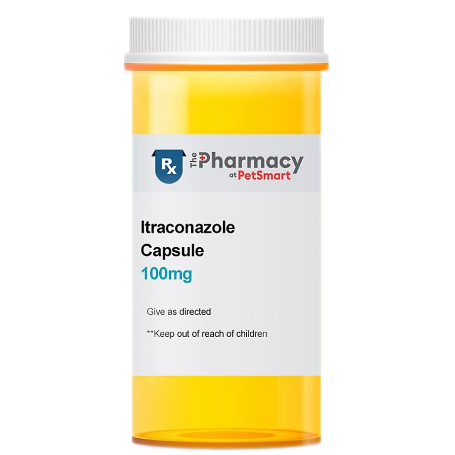"Itraconazole 100mg Capsule for Pets - PetSmart Single Dose Antifungal Treatment"