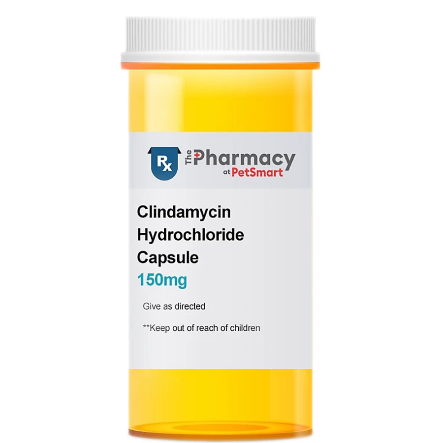 PetSmart Clindamycin Hydrochloride Capsules for Dogs & Cats - 75mg, 150mg, 300mg Single-Dose Antibiotic Treatment