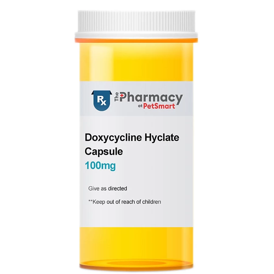 PetSmart Doxycycline Hyclate 100 mg Capsule for Dogs & Cats - Single Dose Antibiotic Treatment