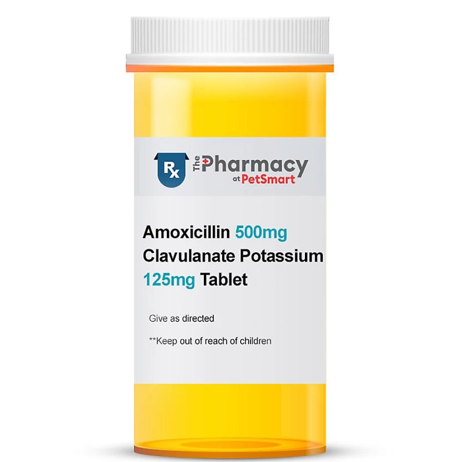 PetSmart Amoxicillin 500mg & Clavulanate Potassium 125mg Tablet - Antibiotic Medication for Bacterial Infections