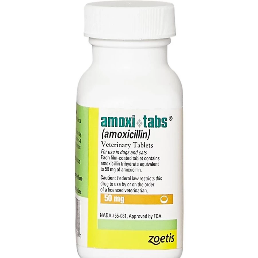 PetSmart Amoxicillin (Amoxi) Single Tablet - 50mg, 100mg, 150mg, 200mg, 400mg Dosage Options for Pets