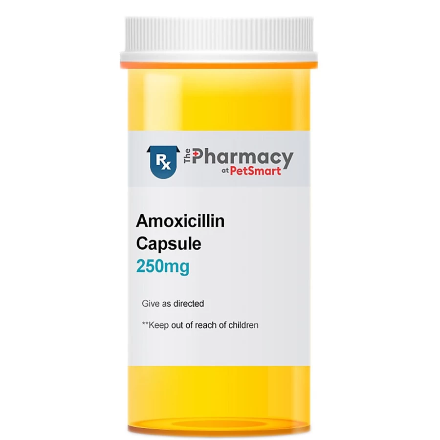PetSmart Amoxicillin Capsules for Pets - 250mg & 500mg Dosage Options