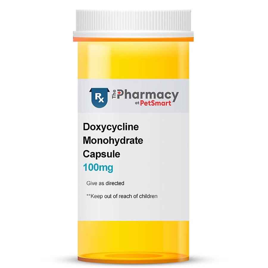 PetSmart Doxycycline Monohydrate 100mg Capsule for Dogs & Cats - Antibiotic Treatment