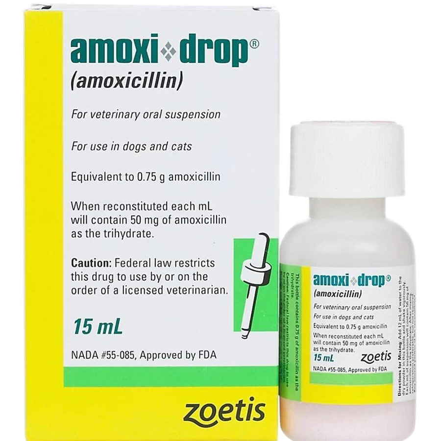 PetSmart Amoxi-Drop 50mg/ml Antibiotic Oral Solution for Dogs & Cats, 15ml