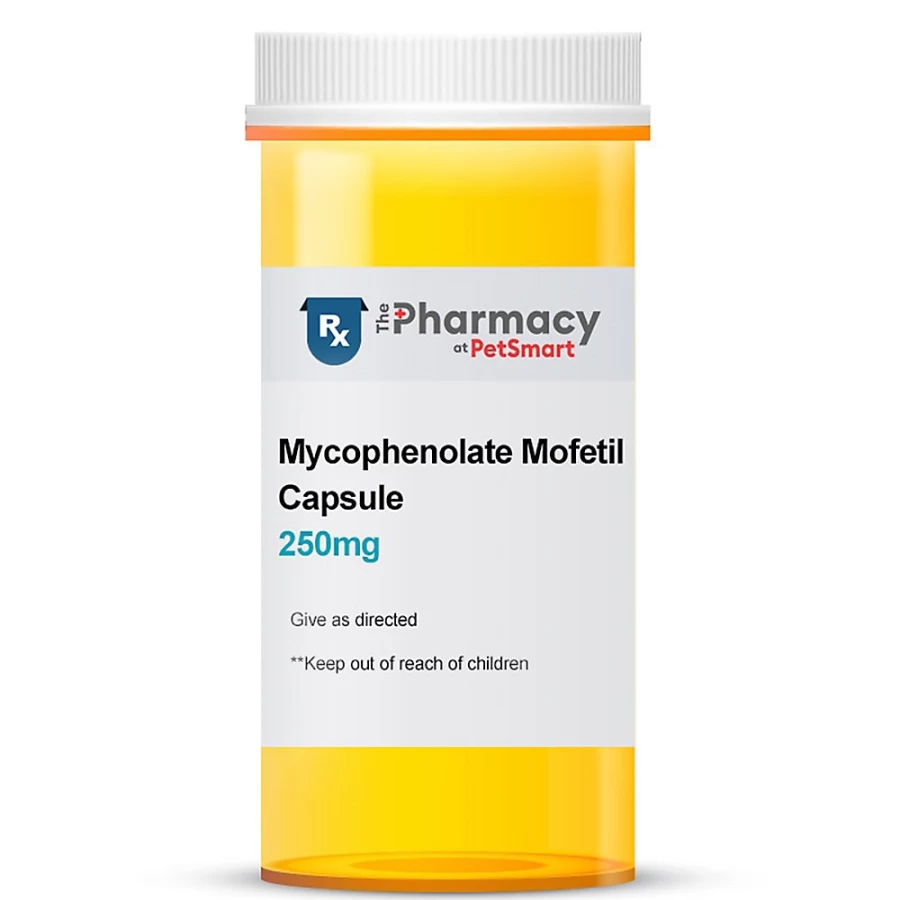 PetSmart Mycophenolate Mofetil 250mg Capsule - Single Dose Immune Support Supplement