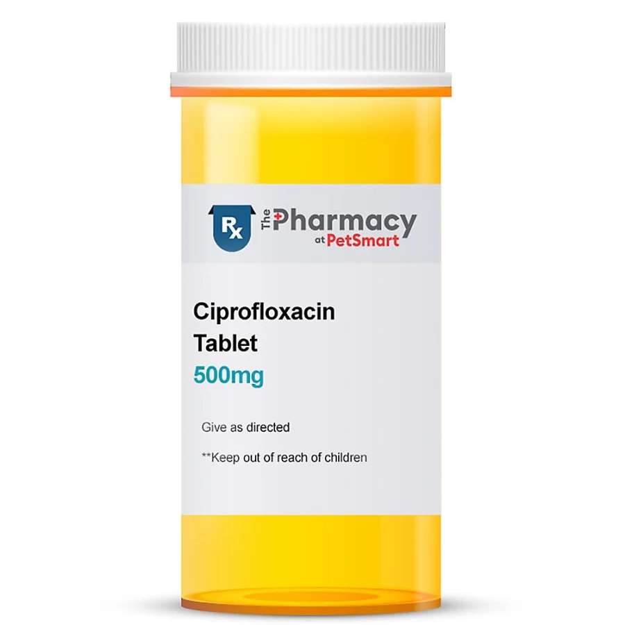 PetSmart Ciprofloxacin 500mg Antibiotic Tablet for Bacterial Infections - Single Dose