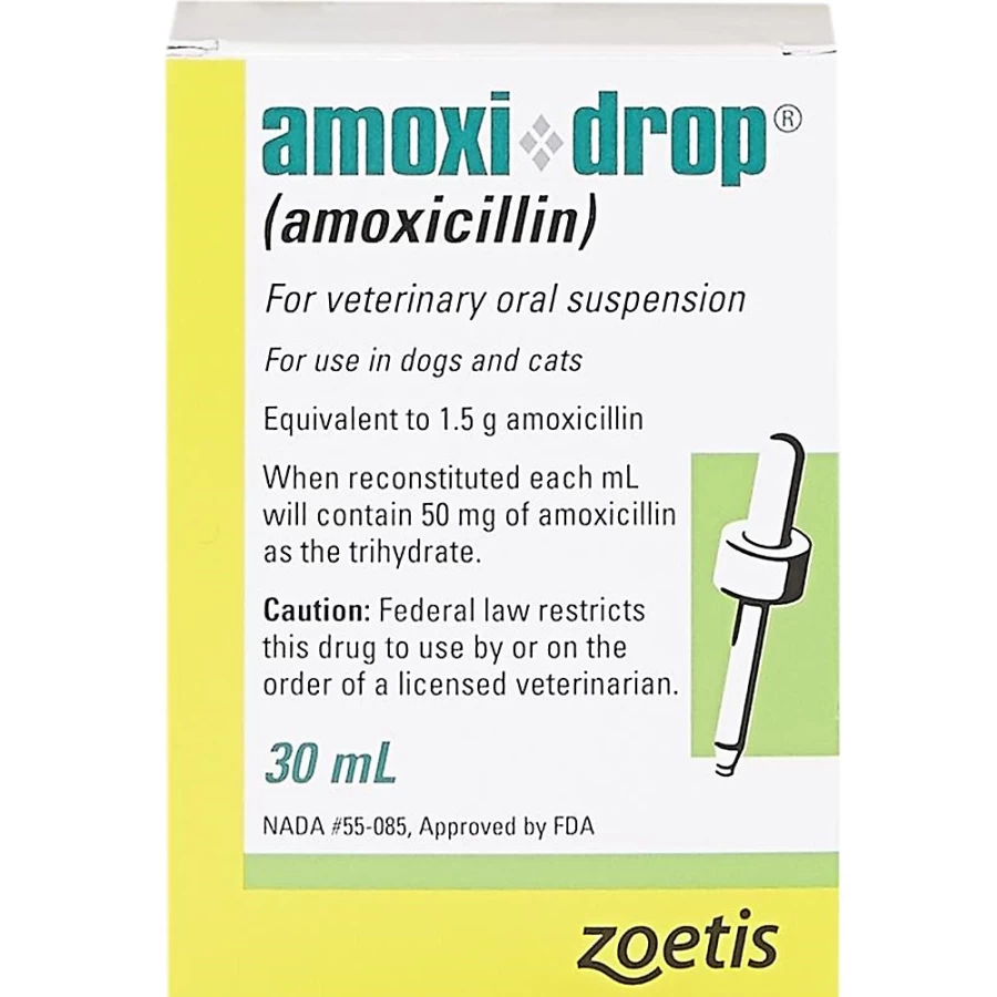 PetSmart Amoxi-Drop Amoxicillin 50 mg/ml Oral Suspension for Dogs & Cats, 30 ml Bottle