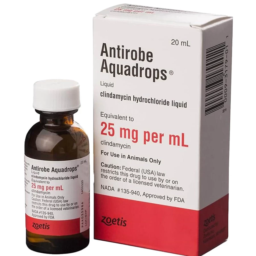 PetSmart Clindamycin Hydrochloride Aquadrops Liquid for Pets, 25mg/ml, 20ml - AntiRobe Antibiotic Treatment