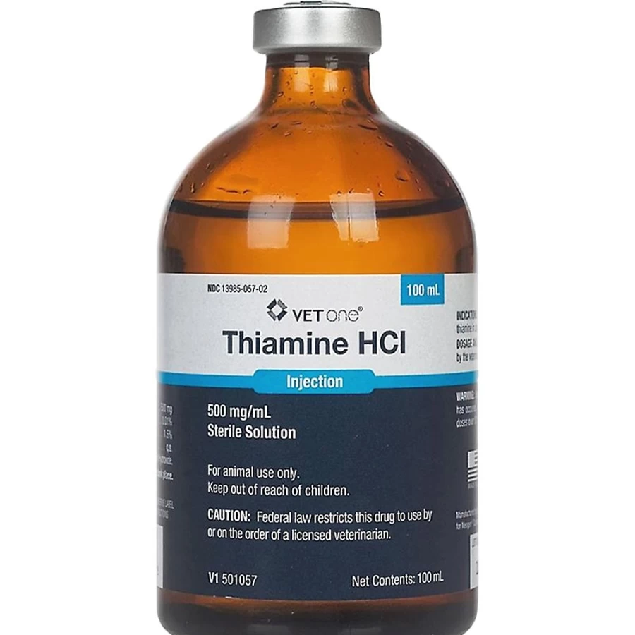 PetSmart Thiamine Hydrochloride 500mg/mL Vitamin B1 Supplement for Pets - 100mL Liquid Solution
