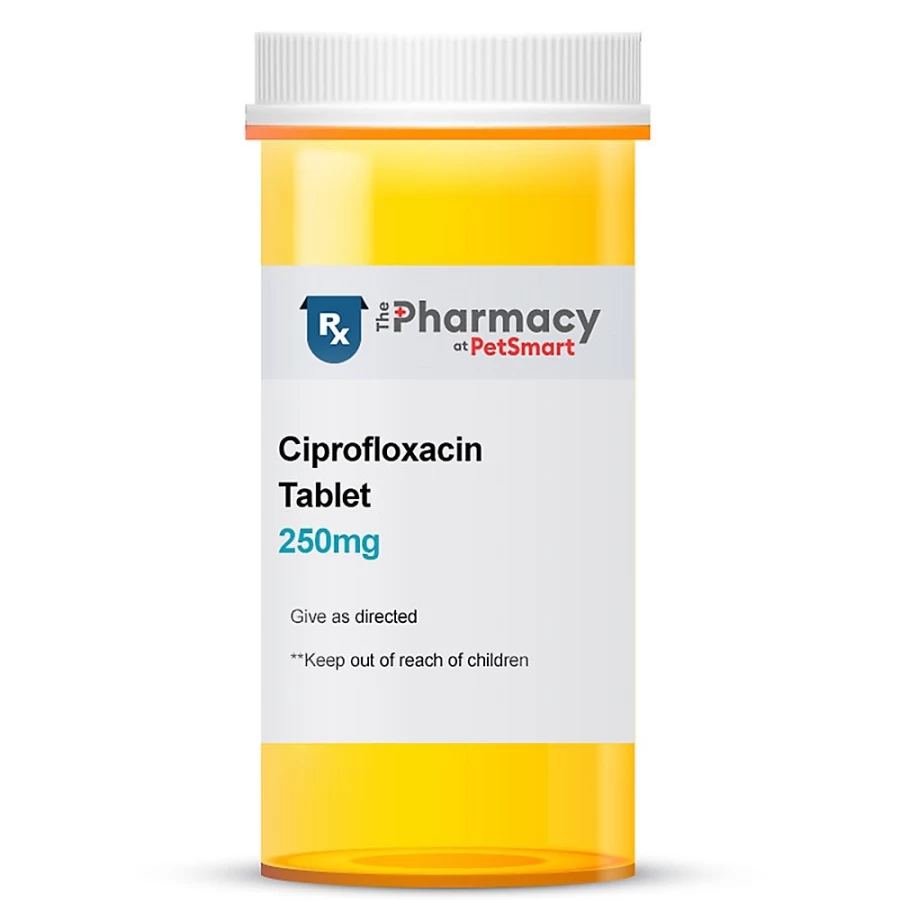 PetSmart Ciprofloxacin 250mg Antibiotic Tablet for Bacterial Infections - Single Dose