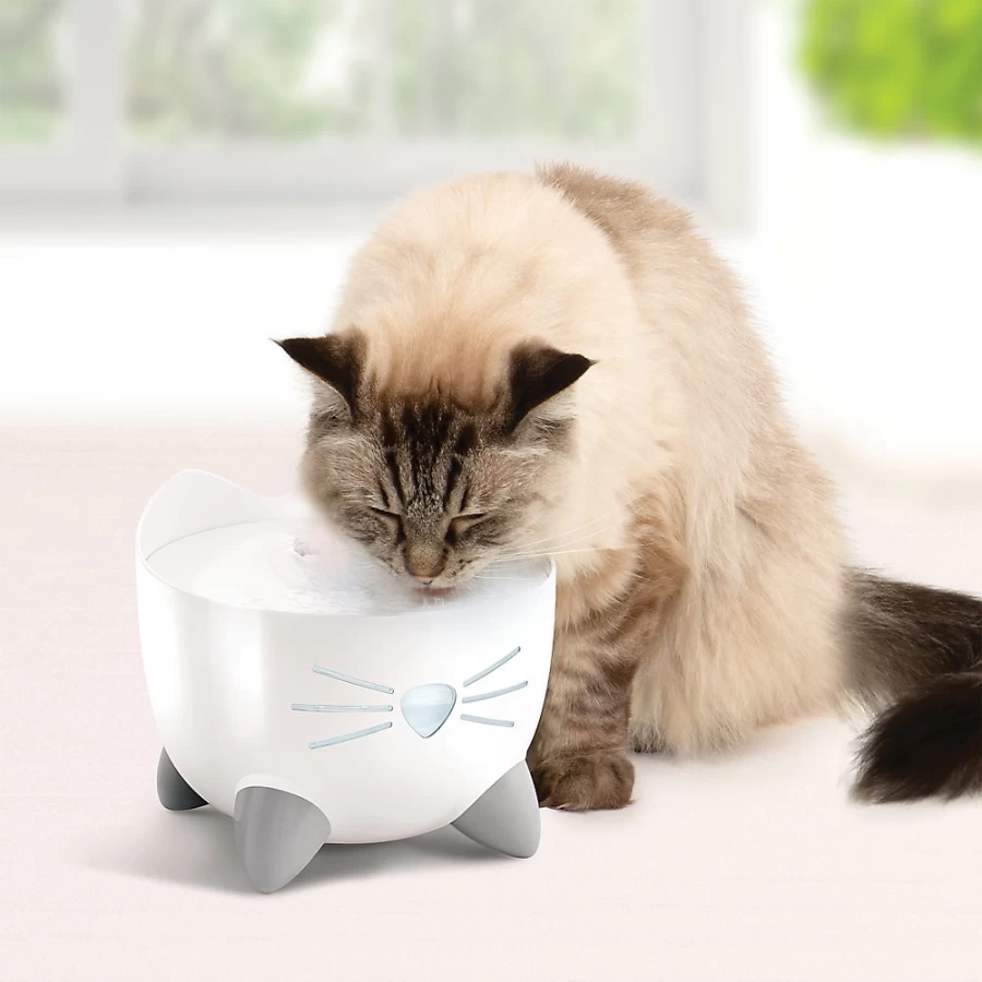 PetSmart Catit PIXI Cat Water Fountain - Automatic Drinking Fountain for Cats