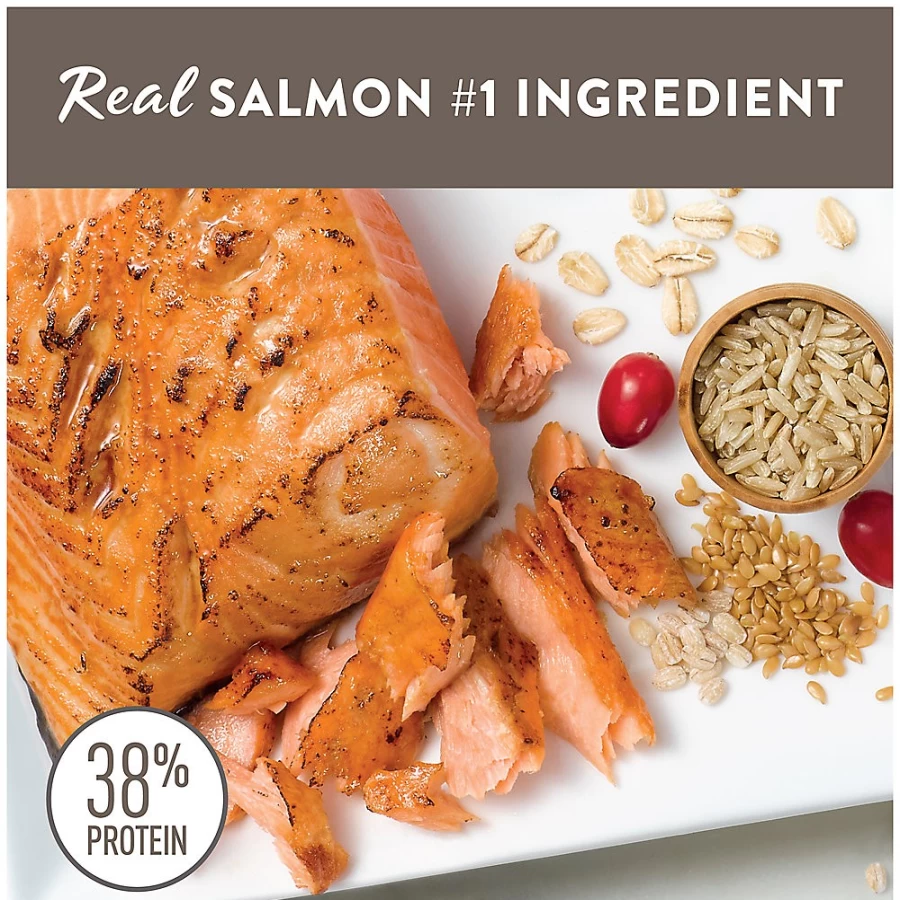 PetSmart Simply Nourish Salmon & Natural With-Grain Dry Cat Food for Indoor Kittens