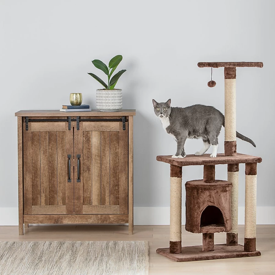 PetSmart Whisker City 49-inch Cat Tower with Lookout Perch for Climbing and Play