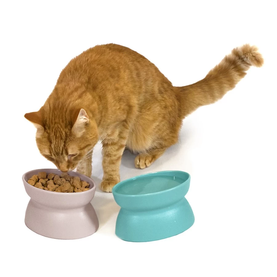 PetSmart Elevated Slanted Cat Bowl Set - 2-Pack for Comfortable Feeding, Anti-Vomit Design