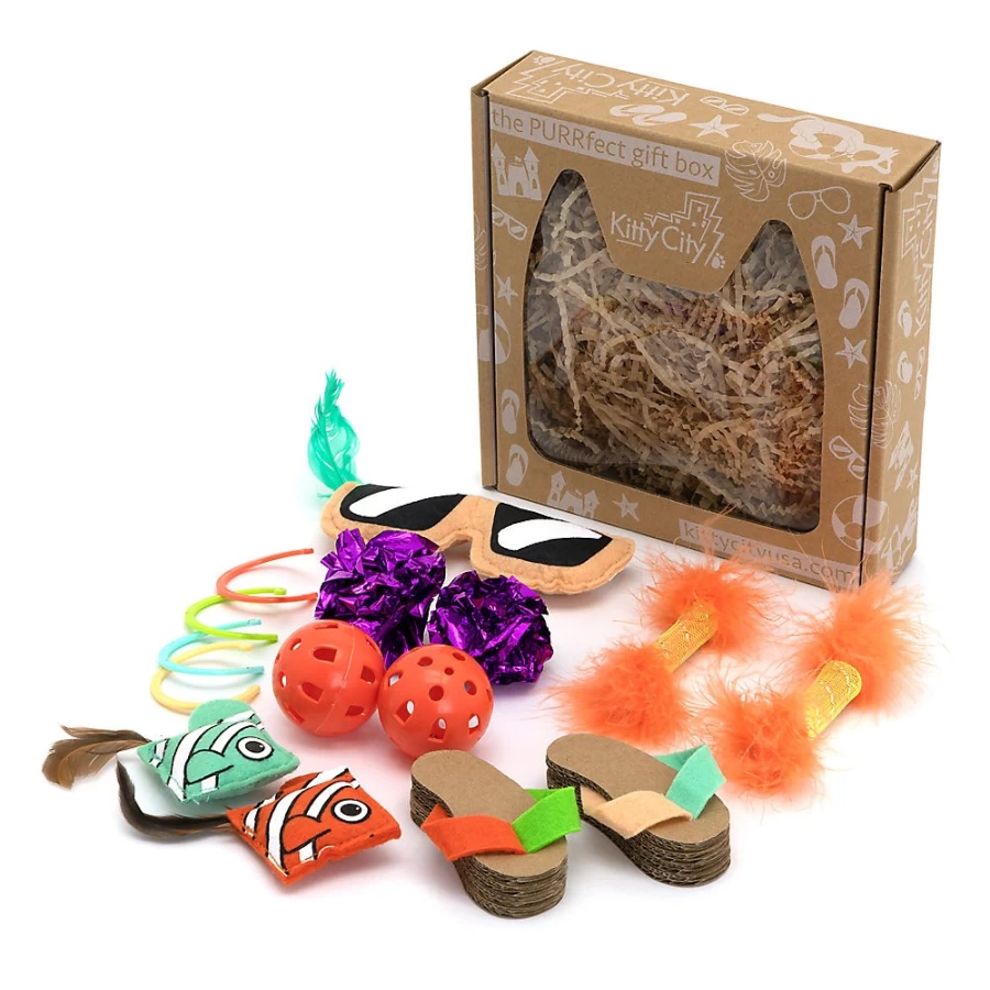 PetSmart Kitty City Cat Toy Box - Interactive Toys for Indoor Cats, Fun Playhouse & Scratching Pad