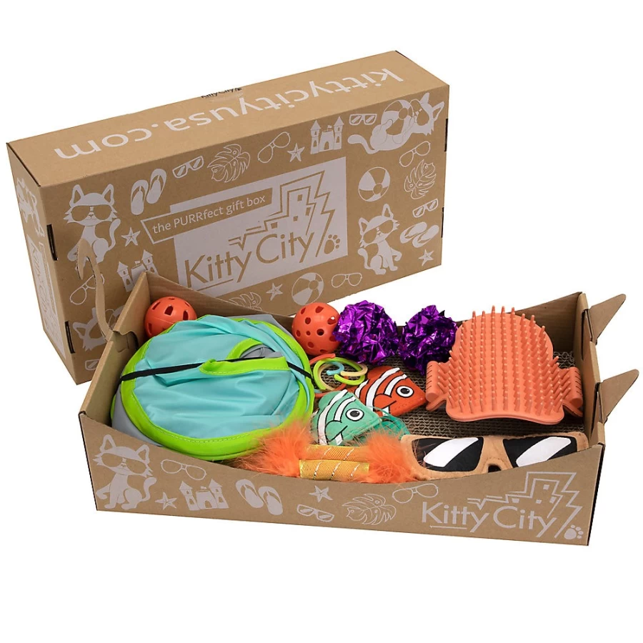 PetSmart Kitty City Deluxe Cat Toy Box - Interactive Toys for Indoor Cats, Scratching Post & Playhouse