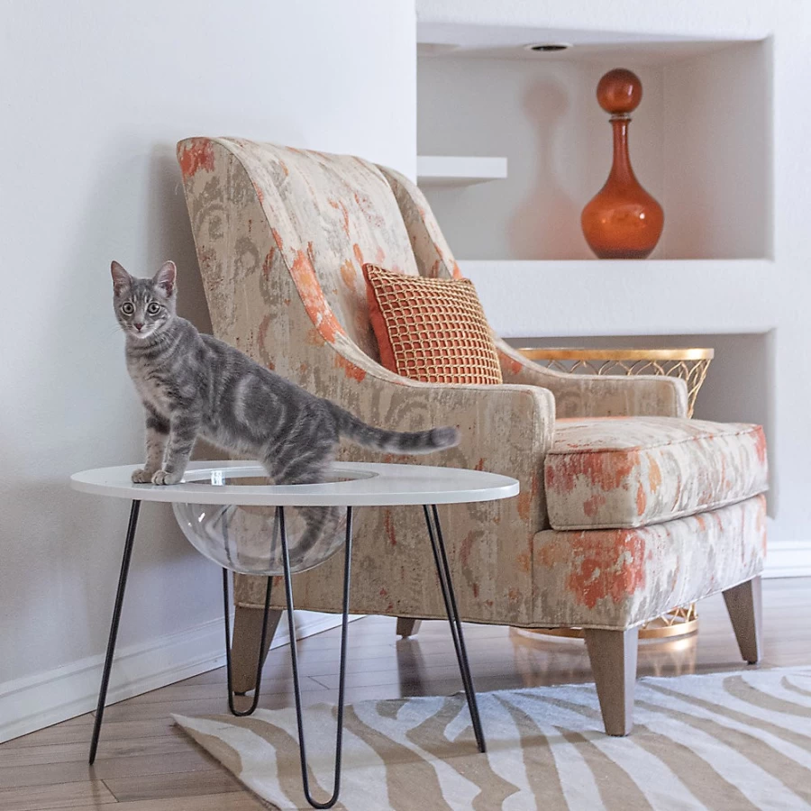 PetSmart NestEgg Raised Cat Bed Side Table - Elevated Pet Bed with Nightstand for Cats