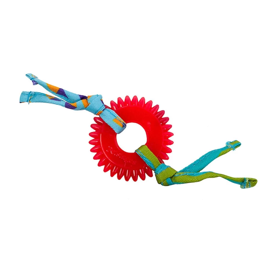 PetSmart Dental Kitty Chew Wheel Cat Toy by Petstages - Healthy Teeth Cat Chew Toy