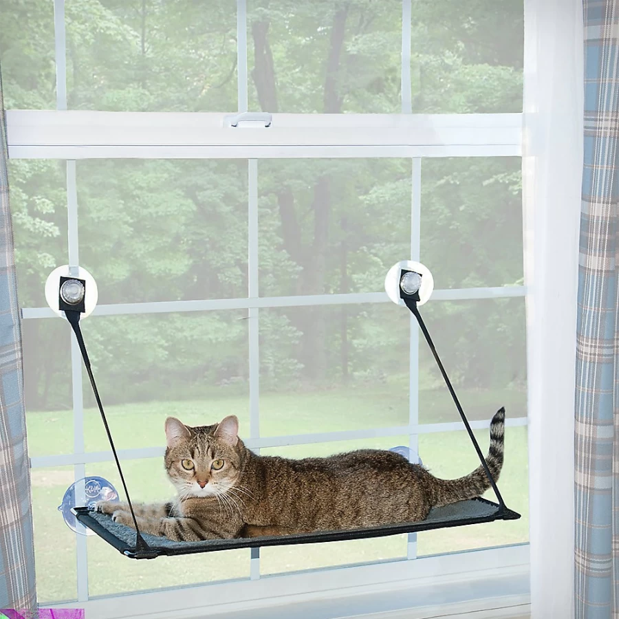 PetSmart EZ Mount Window Cat Bed - Single Level Sill Perch for Cats by KH Pet Products