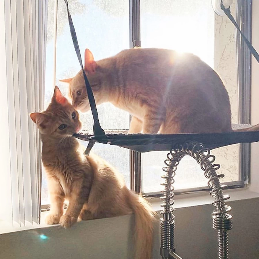 PetSmart EZ Mount Double-Level Cat Window Perch - KH Pet Products Sill Bed for Cats