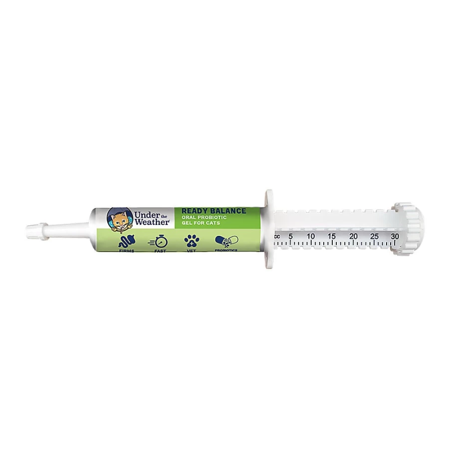 PetSmart Ready Balance Probiotic Oral Gel for Cats - 30cc Syringe, Supports Digestive Health & Immune System