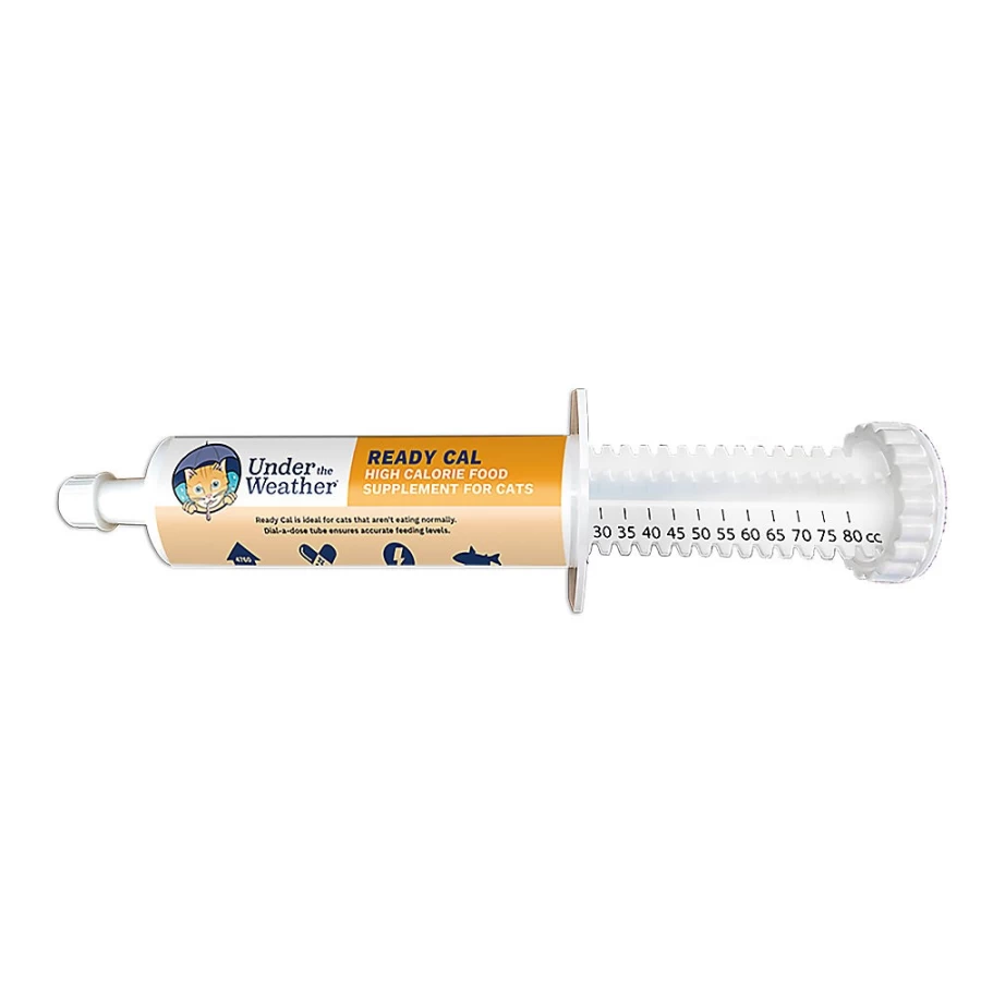 PetSmart High-Calorie Nutritional Gel Cat Supplement - Under the Weather Ready Cal, 80cc Syringe for Boosting Cat Health