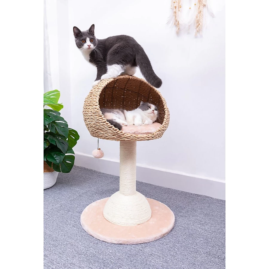 PetSmart 30-inch Beige Lookout Cat Tree Bed for Climbing & Resting - PetPals Collection