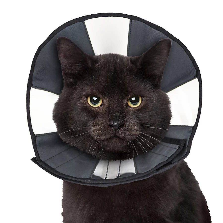 PetSmart ZenCone Calming Dog Cone - Soft Recovery Collar for Pets