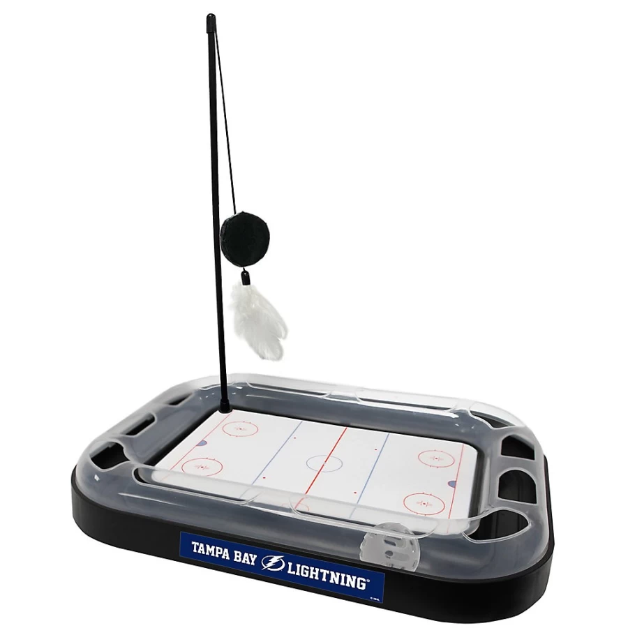 PetSmart Tampa Bay Lightning Themed Cat Scratcher for Pets - Team Pride Claw Sharpening Board