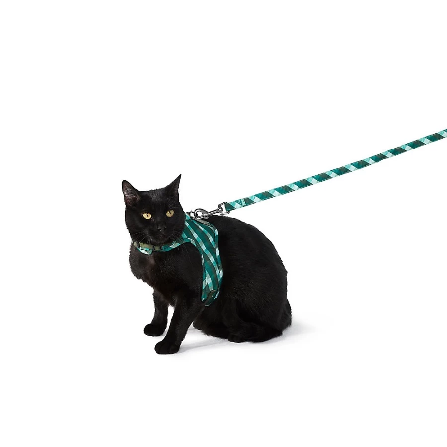 PetSmart Whisker City Green Plaid Cat Harness and Leash Set for Safe Outdoor Adventures