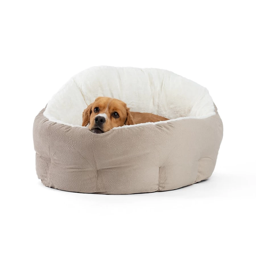 PetSmart OrthoComfort Deep Dish Bolster Pet Bed for Cats and Dogs - Best Friends by Sheri