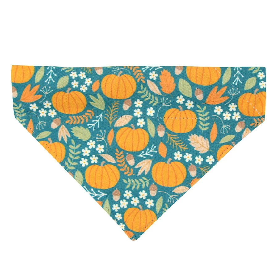 PetSmart Fall Pumpkin Patch Slide-On Cat Bandana by Cleo - Cozy Seasonal Pet Accessory