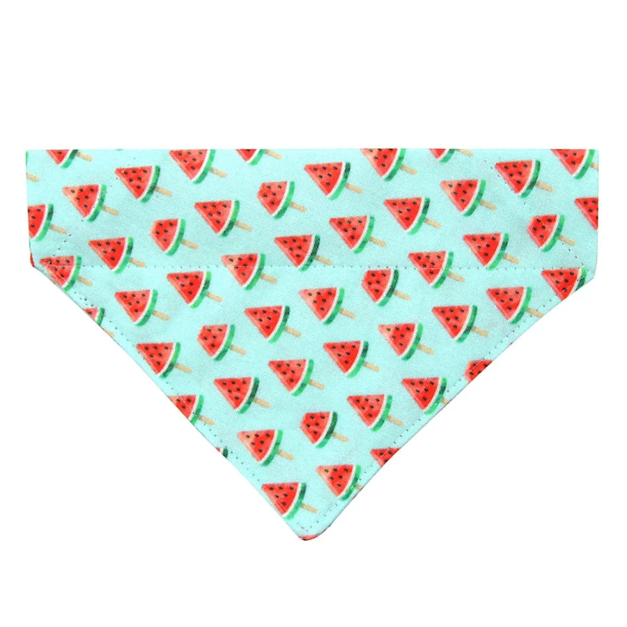 PetSmart Made By Cleo Watermelon Pops Slide-On Cat Bandana for Summer Fun