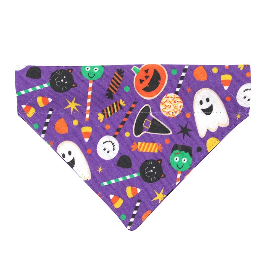 PetSmart Halloween Cat Bandana - Witch's Brew Slide-On Pet Bandana by Made By Cleo