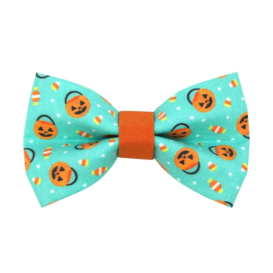 PetSmart Halloween Cat Bow Tie - Made By Cleo Party Pumpkins for Festive Pets
