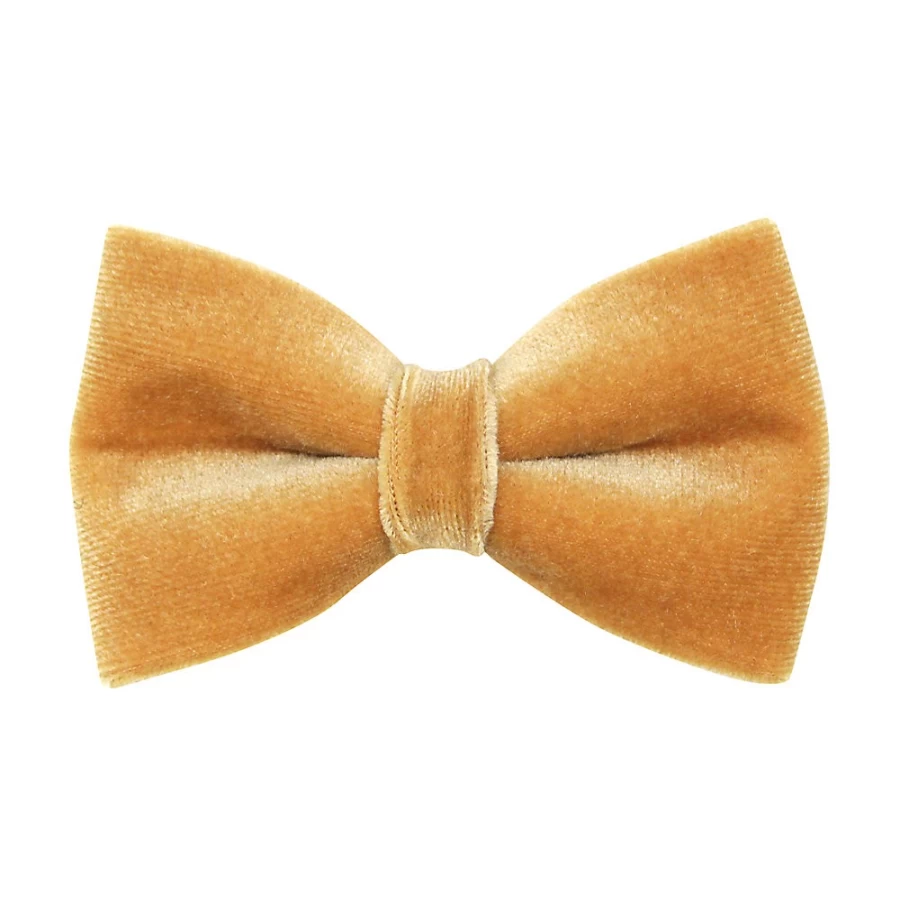 PetSmart Velvet Caramel Gold Cat Bow Tie - Elegant Cat Collar Accessory by Cleo