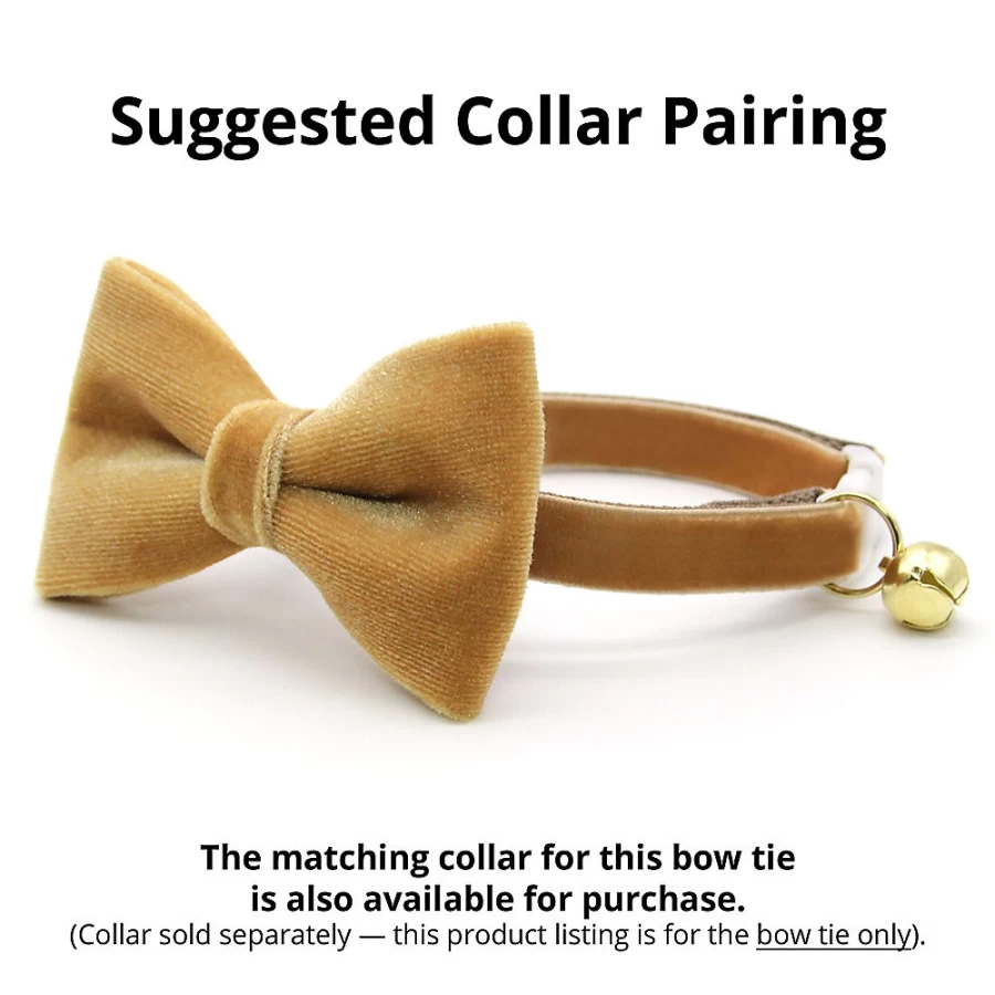 PetSmart Velvet Caramel Gold Cat Bow Tie - Elegant Cat Collar Accessory by Cleo