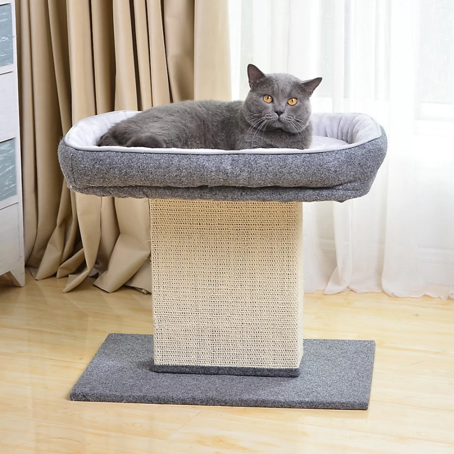 PetSmart Grey Cat Scratching Post with Bed - 23-inch Tall Cat Tree for Climbing and Scratching