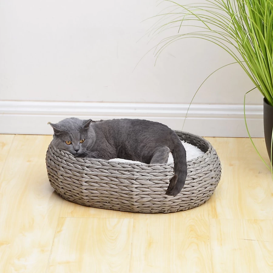 PetSmart Buttercup Grey Handwoven Basket Dog Bed - Cozy Woven Pet Bed for Small & Medium Breeds