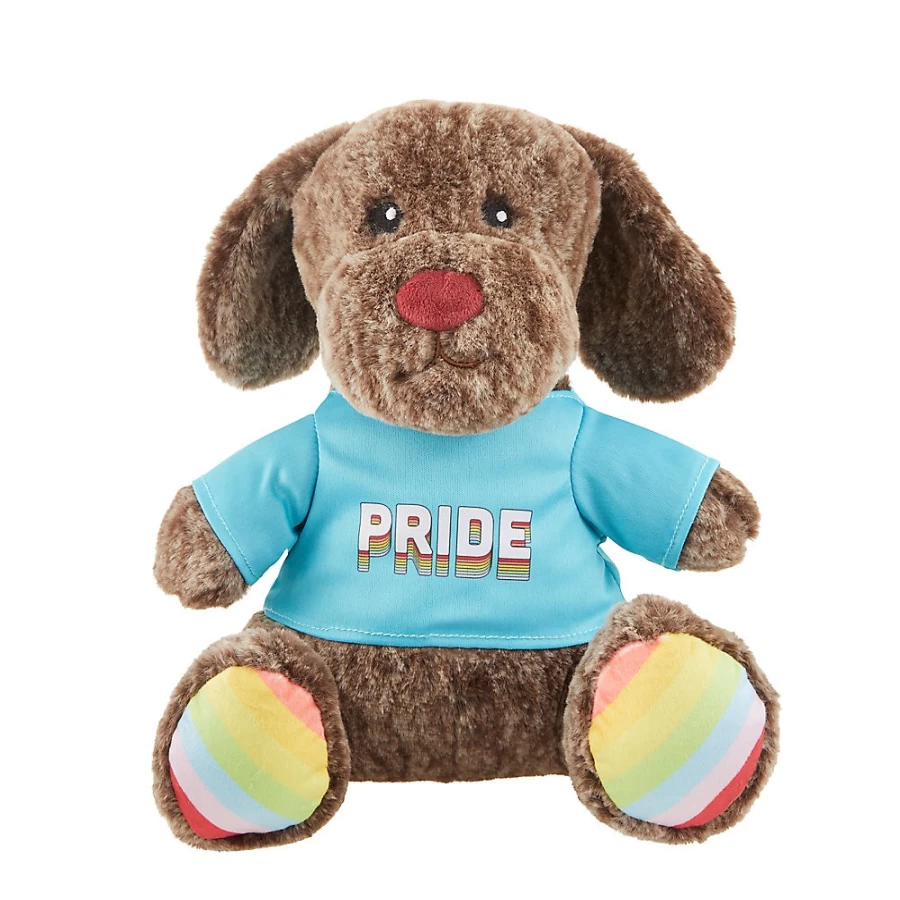 PetSmart Pride Plush Bear - Cuddly Stuffed Animal Toy for LGBTQ+ Support