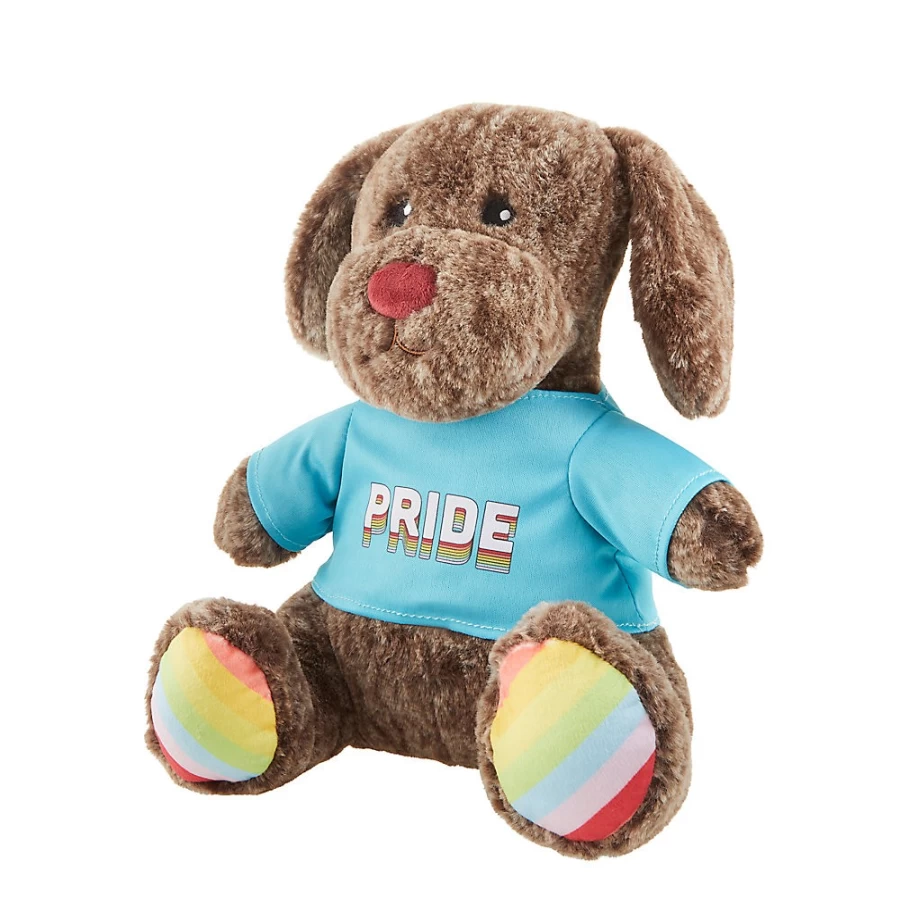 PetSmart Pride Plush Bear - Cuddly Stuffed Animal Toy for LGBTQ+ Support