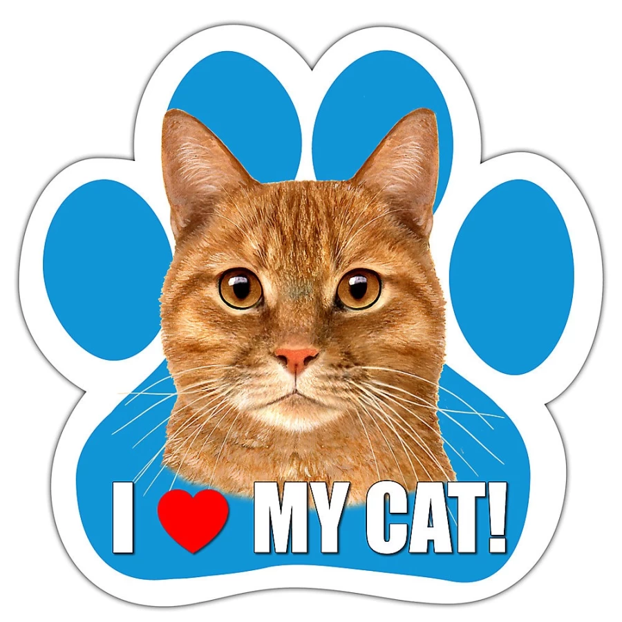 PetSmart Orange Tabby Cat Paw-Shaped Car Magnet - Adorable ES Pets Design for Cat Lovers