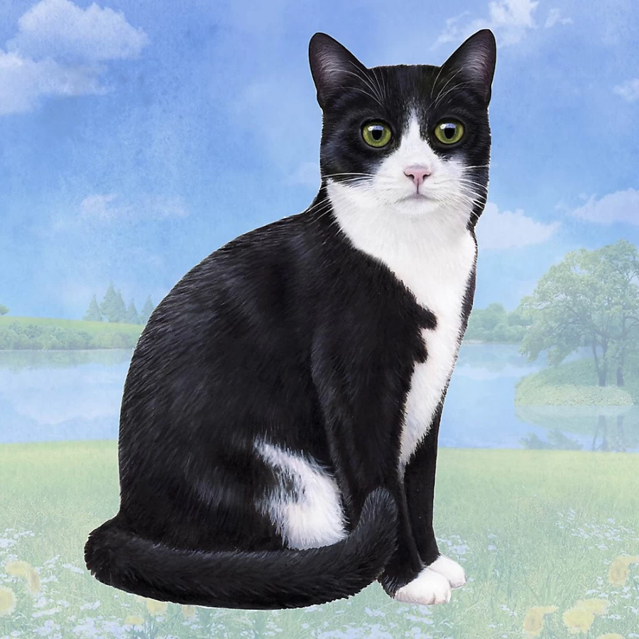 PetSmart Black and White Cat Design Square Coaster for Pets - Absorbent and Durable Coaster Set