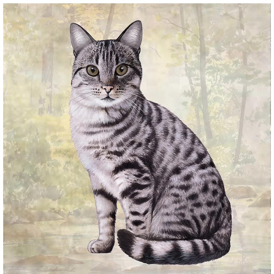PetSmart Silver Tabby Cat Design Square Coaster for Pets - Absorbent & Durable Drink Coasters