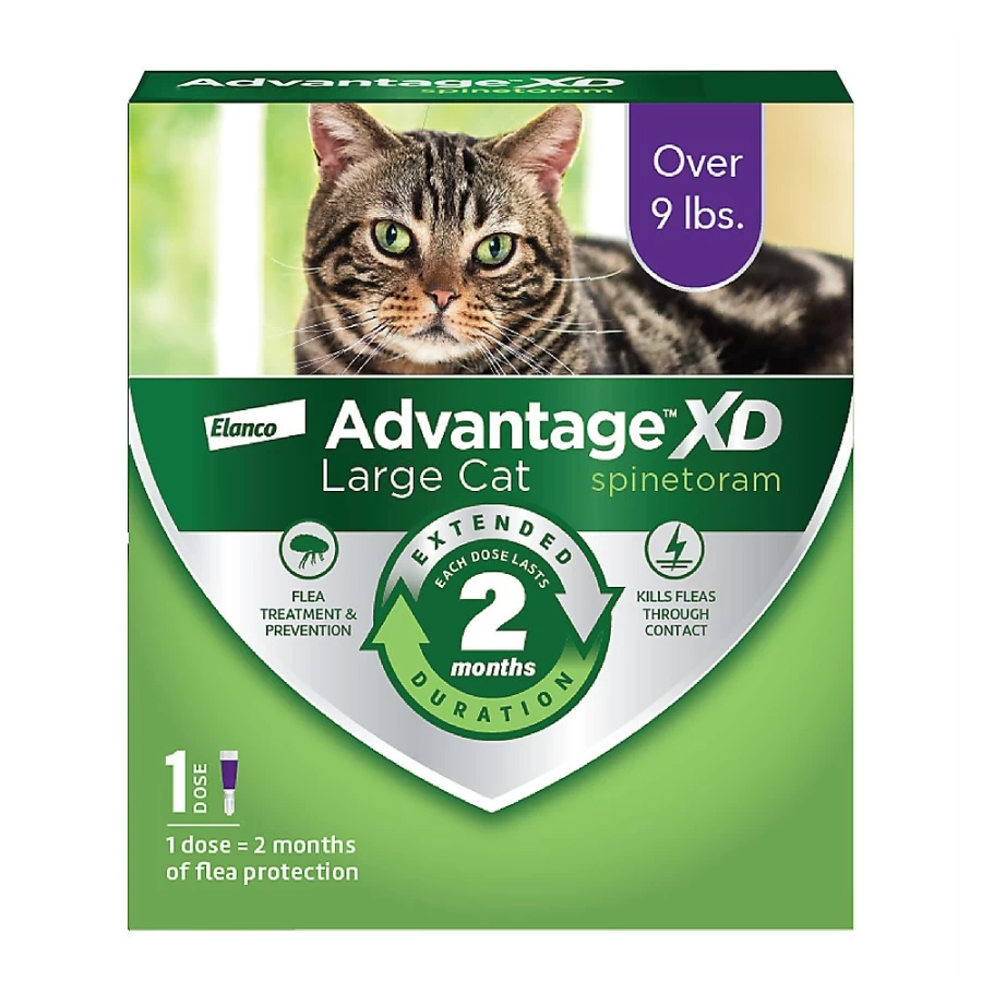 "PetSmart Advantage XD Flea Prevention Treatment for Large Cats Over 9 lbs"