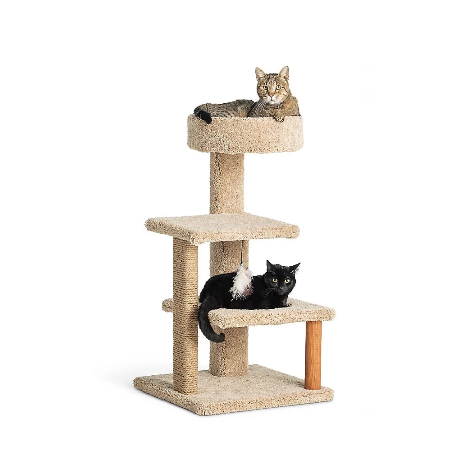 PetSmart Whisker City 37-inch Cozy Climber Cat Tower with Perch - Assorted Colors for Indoor Cats