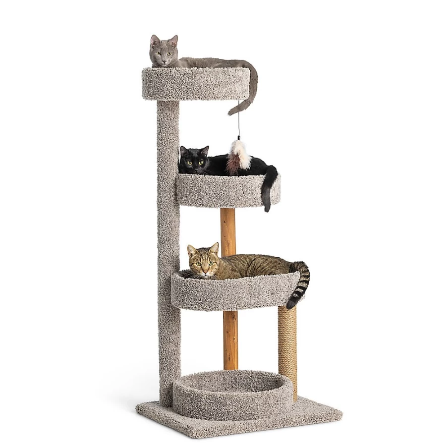 PetSmart Whisker City 51-inch Cat Tree Tower with Treetop Perch - Multi-Level Kitty Climbing Furniture (Color May Vary)