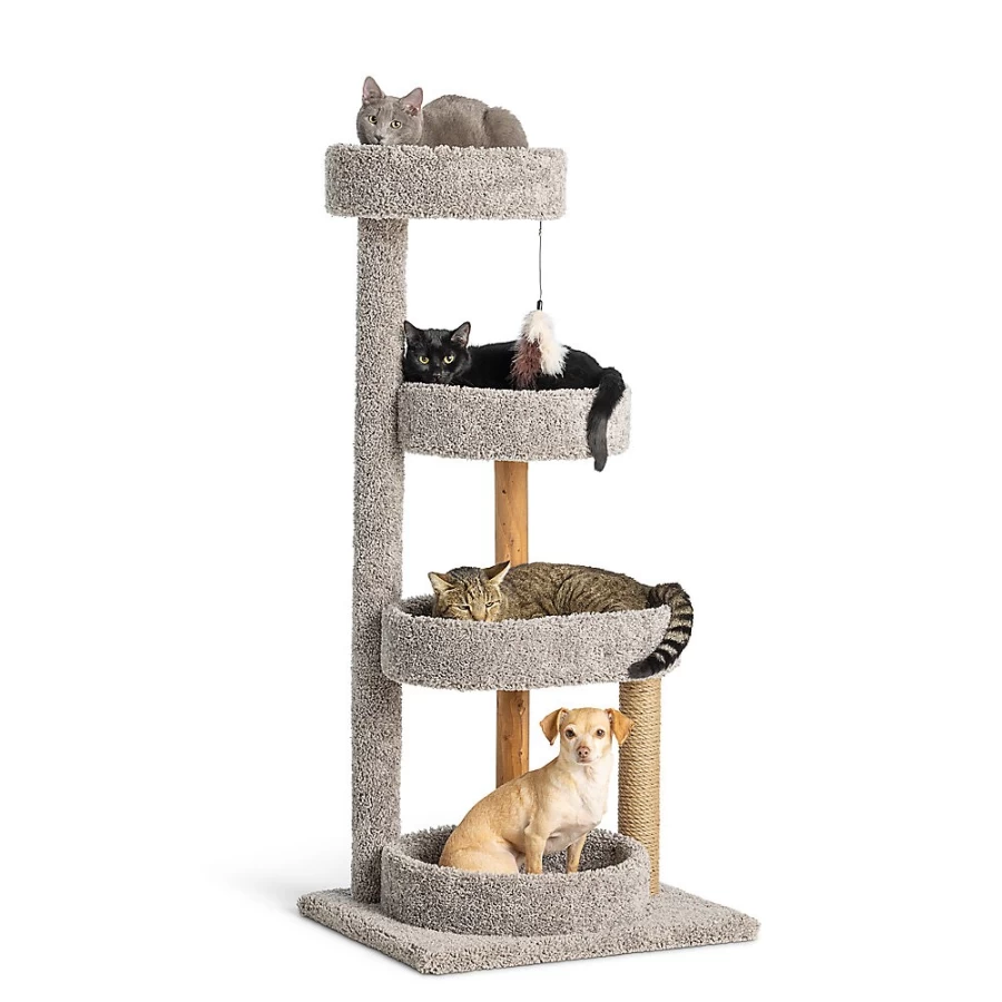 PetSmart Whisker City 51-inch Cat Tree Tower with Treetop Perch - Multi-Level Kitty Climbing Furniture (Color May Vary)