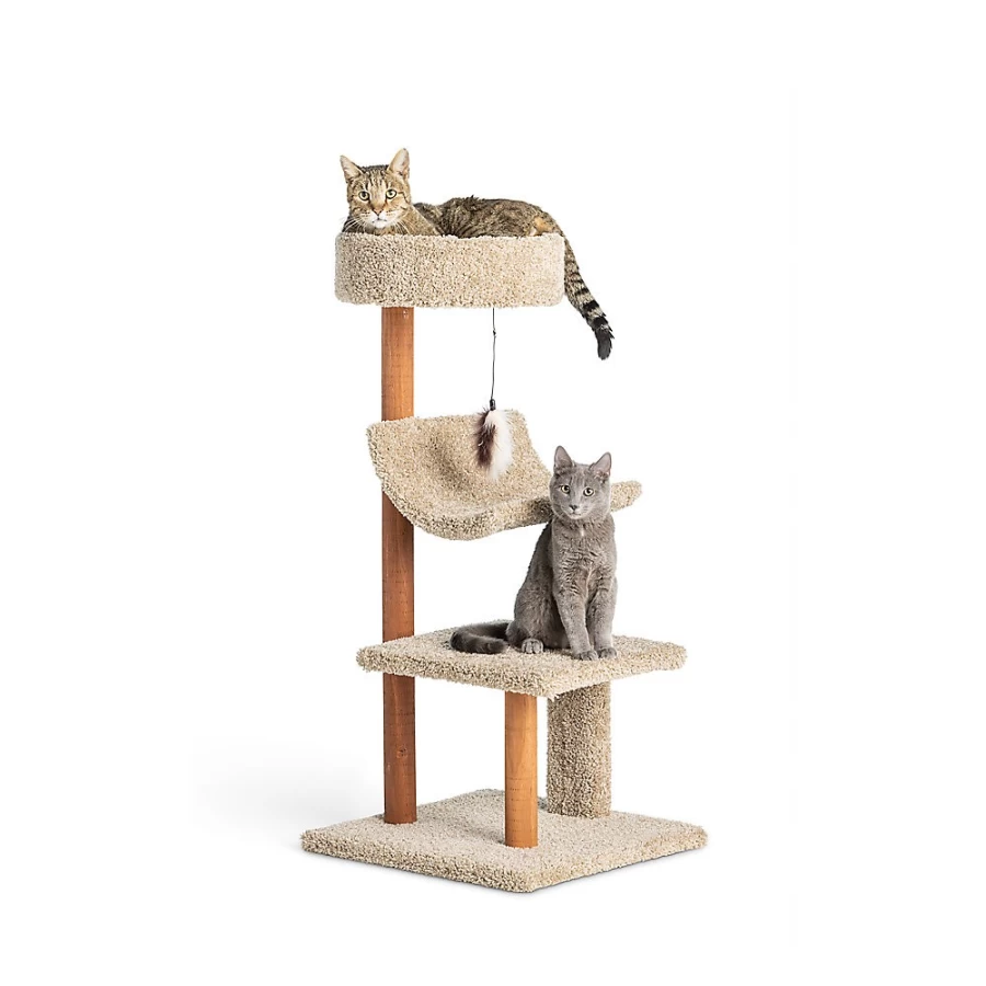 PetSmart Whisker City 41-inch Cozy Inn Cat Tower with Perch - Assorted Colors