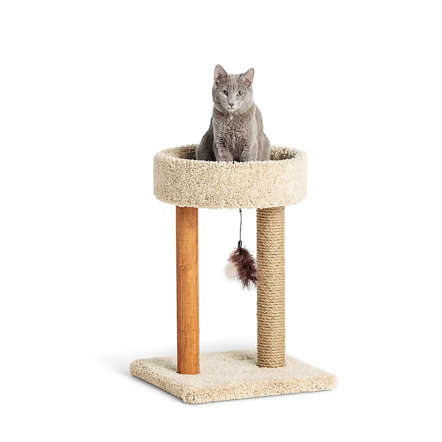 PetSmart Whisker City 23-inch Scratch & Play Cat Cuddler with Dual Posts - Assorted Colors
